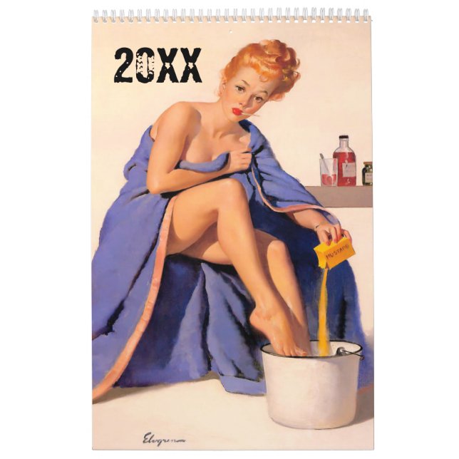 FUNNY manar Kalender. ändringsbar till 2016 Kalender (Omslag)