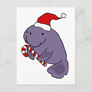 Funny Manatee i jultomten Tecknad Vykort