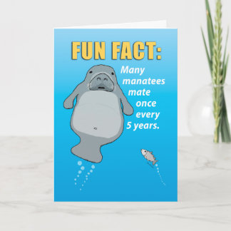 Funny Manatee Mating Habits Birthday Kort