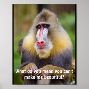 Funny Mandrill Stylist Poster