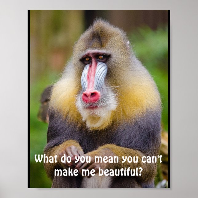 Funny Mandrill Stylist Poster (Framsidan)
