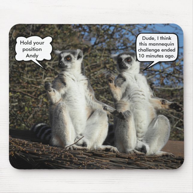 Funny Mannequin Challenge Meme Lemurs Musmatta (Framsidan)