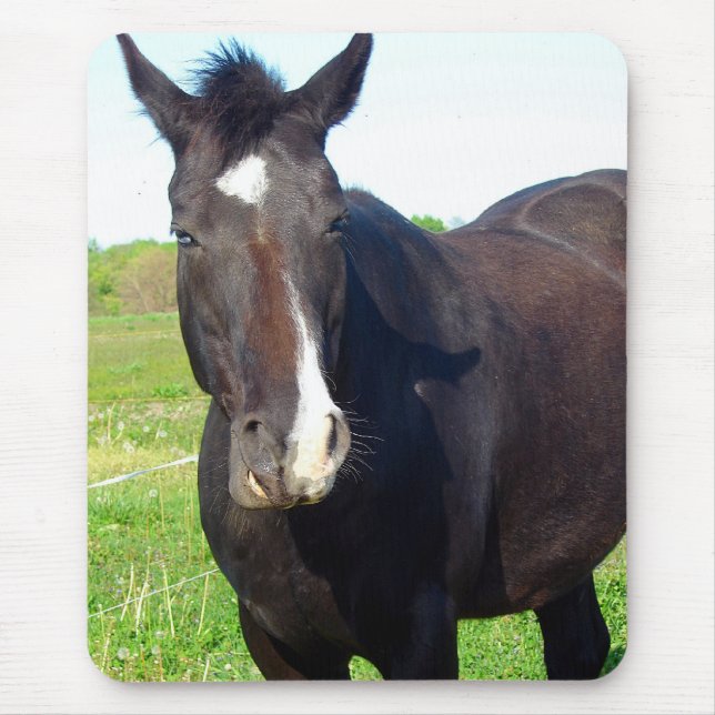 Funny Mare Musmatta (Framsidan)