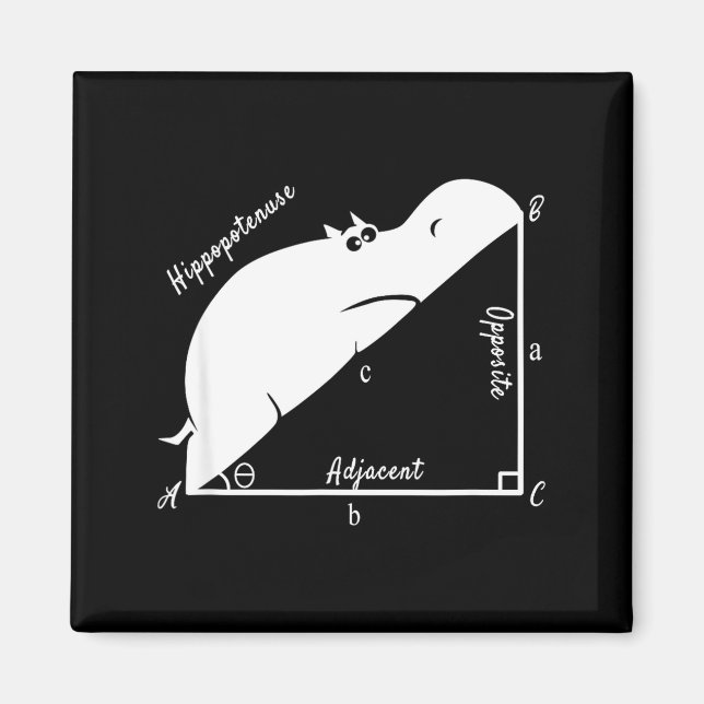 Funny Math Teacher,funny Hiptenuse,geometry Teache Magnet (Framsidan)