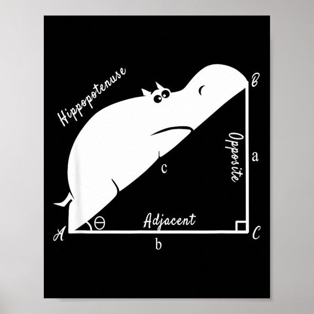Funny Math Teacher,funny Hiptenuse,geometry Teache Poster (Framsidan)
