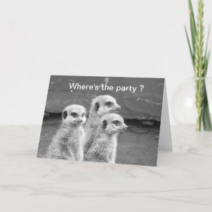 Funny Meerkat-födelsedagskort Kort