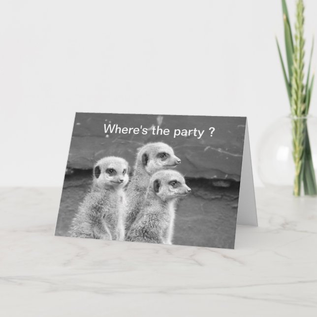 Funny Meerkat-födelsedagskort Kort (Framsida)
