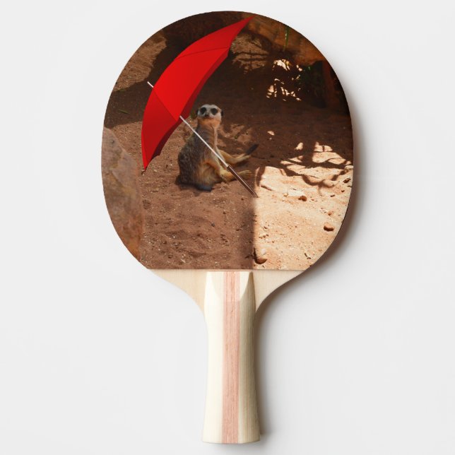 Funny Meerkat Sitta under Umbrella Pingisracket (Framsidan)