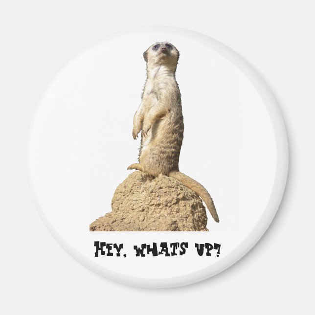 Funny Meerkat står upp Magnet (Framsidan)