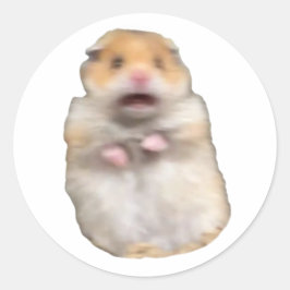 funny meme cat runt klistermärke