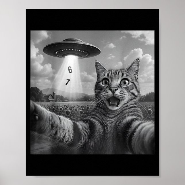 Funny Meme Cat Selfie Six Seven Retro Cat 67 Anima Poster (Framsidan)