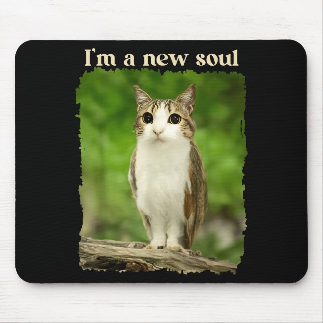 Funny Meowl Meme, Cat Owl Meme Brainrot Gen Alpha  Musmatta (Framsidan)