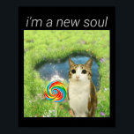 Funny Meowl Meme, Cat Owl Meme Brainrot Gen Alpha  Poster<br><div class="desc">Funny Meowl Meme,  Cat Owl Meme Brainrot Gen Alpha Meme</div>