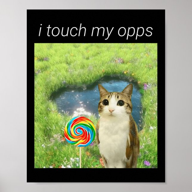 Funny Meowl Meme, Cat Owl Meme Brainrot Gen Alpha  Poster (Framsidan)
