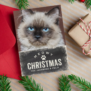 Funny Meowy jul Helgdag Cat Photo Julkort