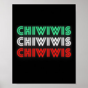 Funny mexikansk Latino Chicano Cholo Cinco De Mayo Poster