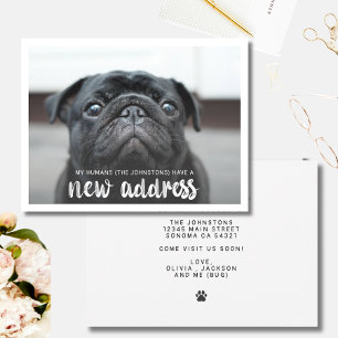 Funny Modern Ny adress Pet-Hund - foto Inbjudningar