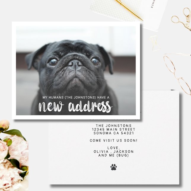 Funny Modern Ny adress Pet-Hund - foto Inbjudningar (Skapare uppladdad)