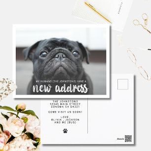 Funny Modern Ny adress Pet-Hund - foto Vykort