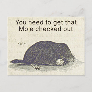 Funny Mole Hälsning Card, Animal Birthday Humor Vykort