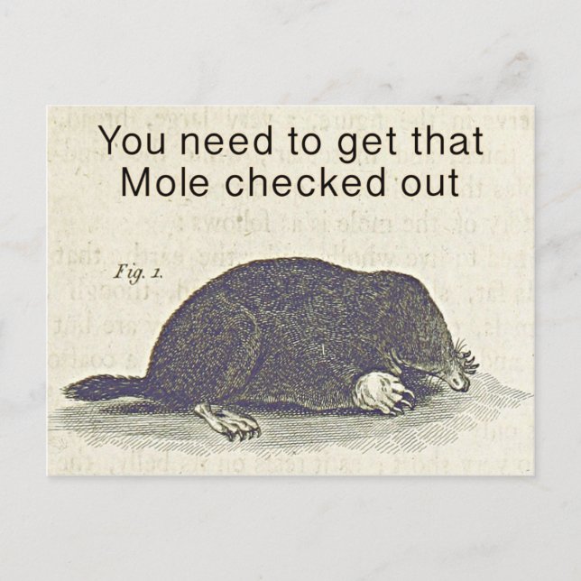 Funny Mole Hälsning Card, Animal Birthday Humor Vykort (Framsida)