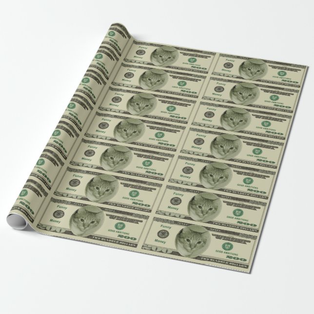 Funny Money Presentpapper (Utrullad)