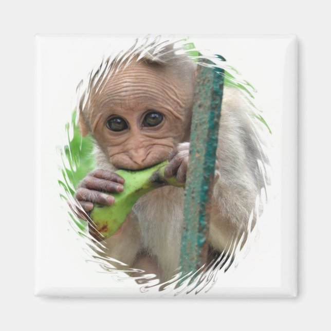 Funny Monkey Bild Magnet (Framsidan)