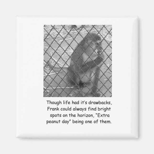Funny Monkey Encouragement Magnet (Framsidan)