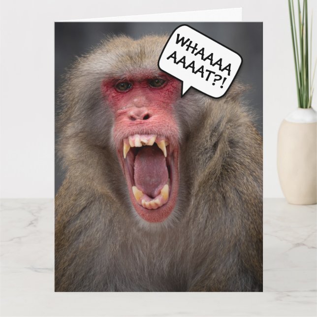 FUNNY MONKEY hämtar äldre BIRTHDAY GREETING CARD Kort (Framsida)