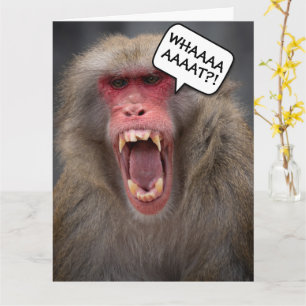 FUNNY MONKEY ÖVER BACKE BIRTHDAY GREETING CARD KORT