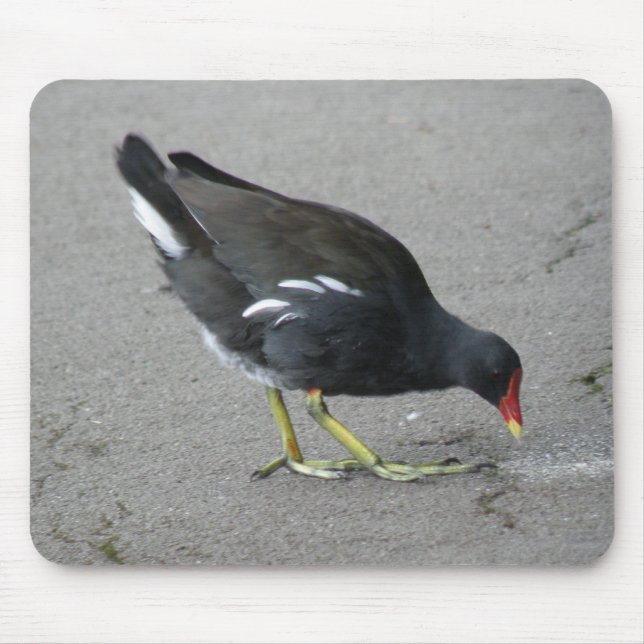 Funny Moorhen Ta en Bow Mousepad Musmatta (Framsidan)