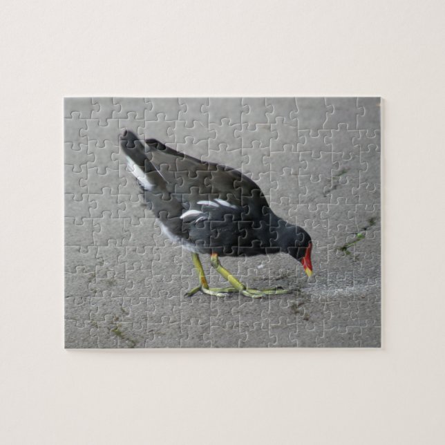 Funny Moorhen Ta ett Bow Puzzle Pussel (Horisontell)