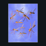 Funny Mosquitoes Vykort<br><div class="desc">Vykort med min 3d-teckning av en grupp roliga myggor.</div>