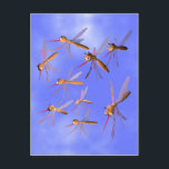 Funny Mosquitoes Vykort<br><div class="desc">Vykort med min 3d-teckning av en grupp roliga myggor.</div>
