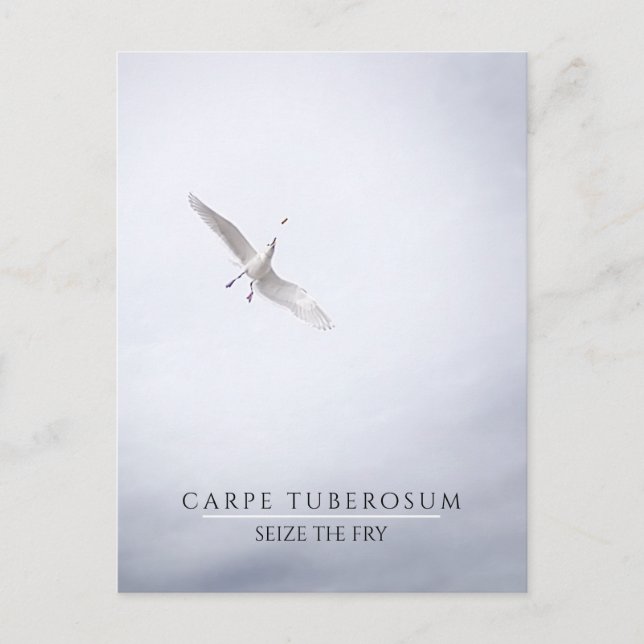 Funny Motivational Fiskmås Carpe Diem Fransk Fries Vykort (Framsida)