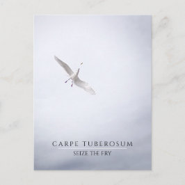 Funny Motivational Fiskmås Carpe Diem Fransk Fries Vykort