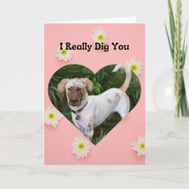 Funny Muddy Hund I Verkligen Gräver Valentine Kort