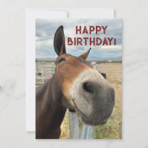 FUNNY Mule Birthday Animal Card Real Öron