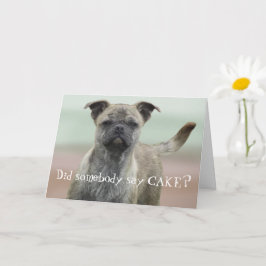 Funny Mutt Blandras Photo Grattis på födelsedagen Kort