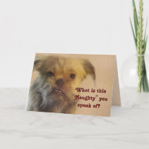 Funny Mutt Naughty Query Hund Photo jul