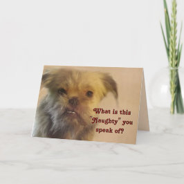 Funny Mutt Naughty Query Hund Photo jul Helgkort