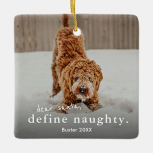 Funny Naughty Pet 2 Photo jul Julgransprydnad Keramik