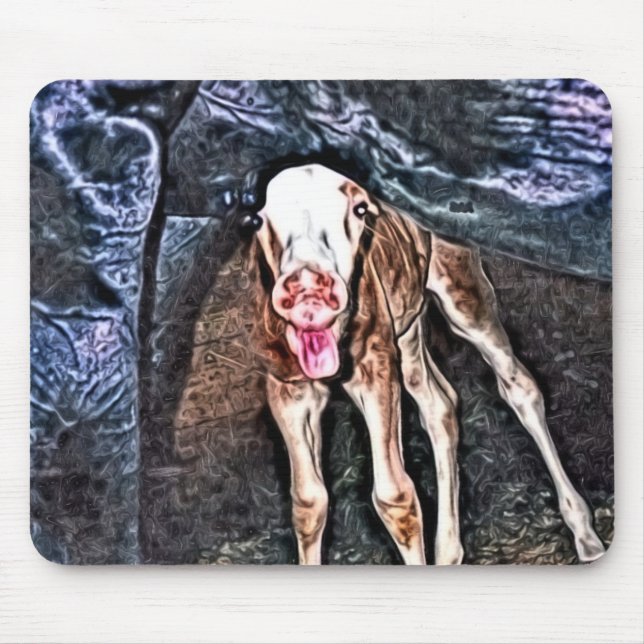 Funny Newborn Foal Musmatta (Framsidan)