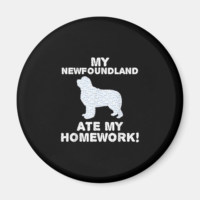 Funny Newfie | Min Newfoundland Ate Min hemläxa Magnet (Framsidan)
