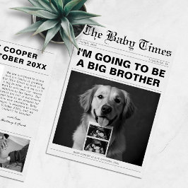 Funny Newspaper Pet Gravid Meddelande