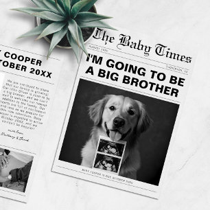Funny Newspaper Pet Gravid Meddelande