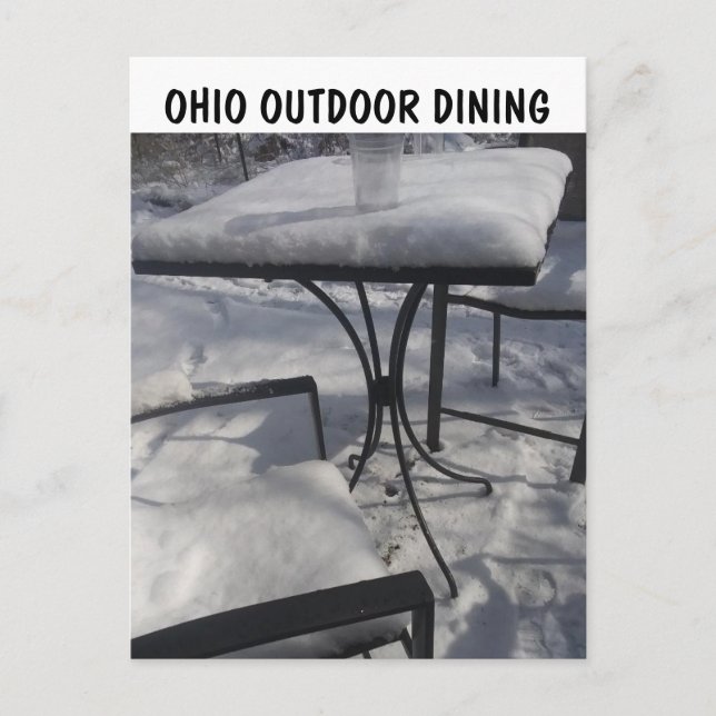 FUNNY OHIO OUTDOOR DINOR POSTCARDS VYKORT (Framsida)