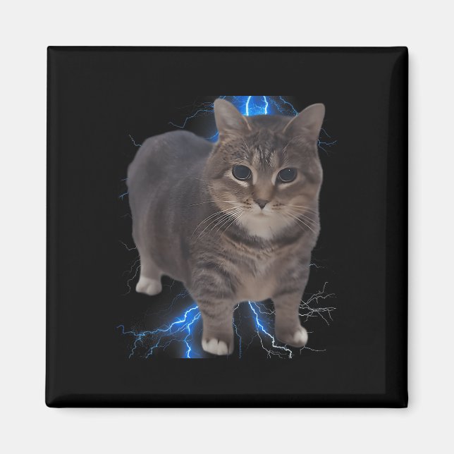 Funny Oiia Oiia Spinning Cat Meme Cat Brainrot Magnet (Framsidan)