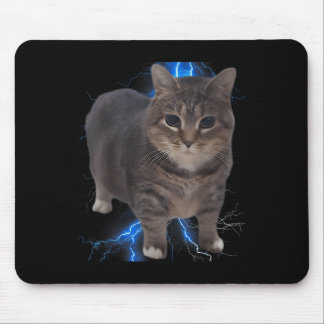 Funny Oiia Oiia Spinning Cat Meme Cat Brainrot Musmatta