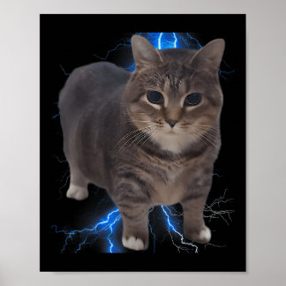 Funny Oiia Oiia Spinning Cat Meme Cat Brainrot Poster